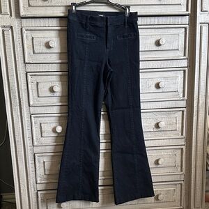 Express Navy Flared Jeans